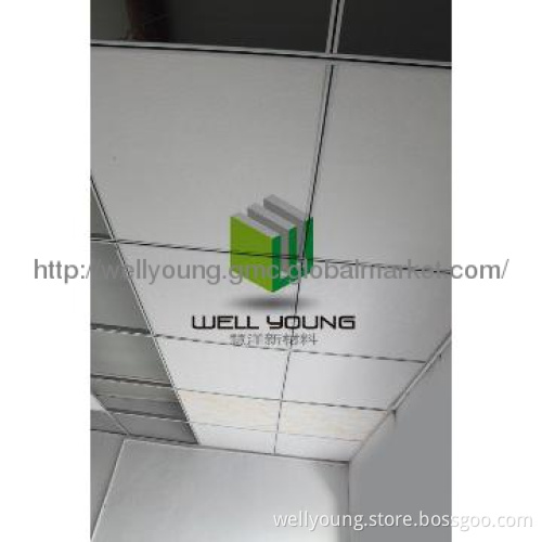waterproof ceiling from wellyoung